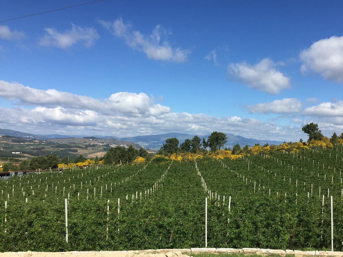 Quinta Bemboa Turismo Espaco Rural Aricera エクステリア 写真