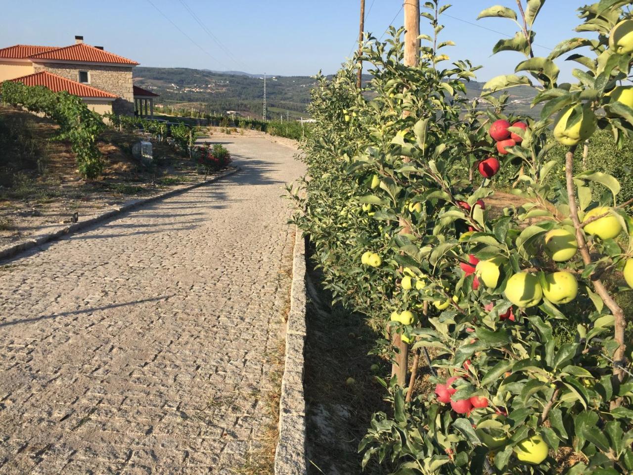 Quinta Bemboa Turismo Espaco Rural Aricera エクステリア 写真