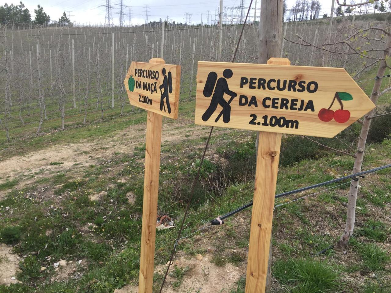 Quinta Bemboa Turismo Espaco Rural Aricera エクステリア 写真