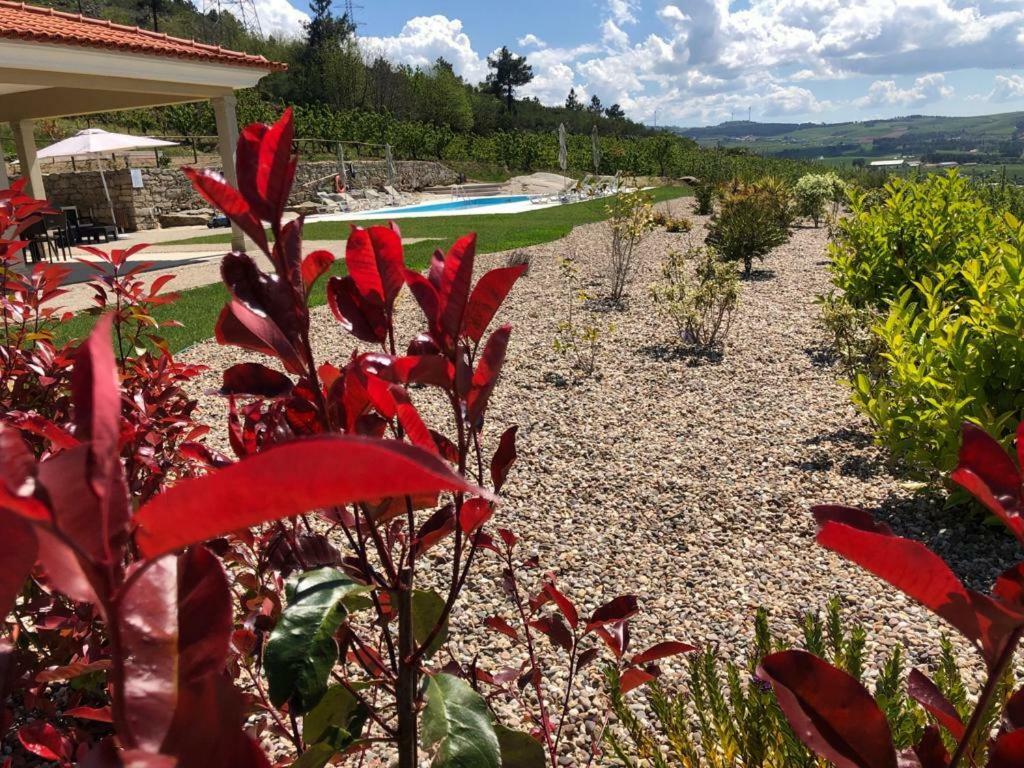 Quinta Bemboa Turismo Espaco Rural Aricera エクステリア 写真
